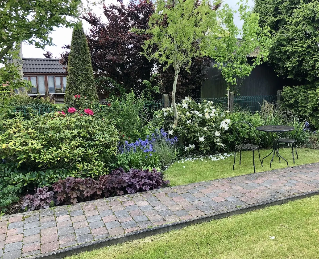 Border met verschillende soorten planten